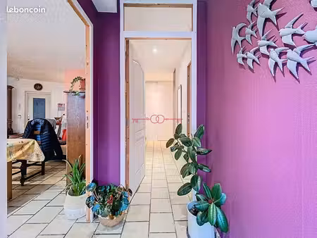 appartement 3 pièces 81 m²