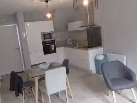 t3 meublé - centre