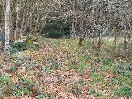 je vends un terrain a construire