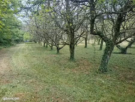 verger a cidre bio 7000m2 environnement préservé