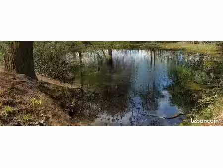 etang