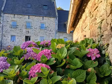 maison de caractére mitoyenne