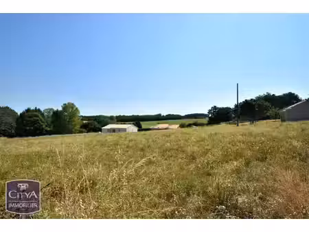terrain