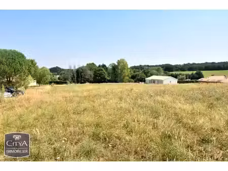 terrain