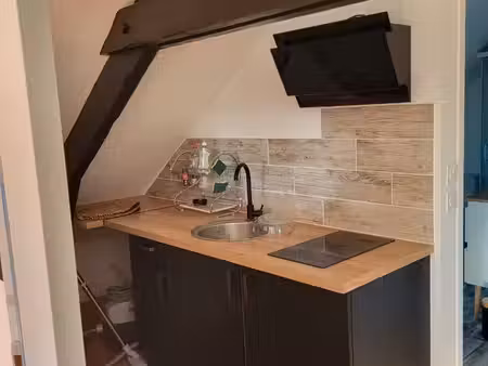 appartement t2 sous combles