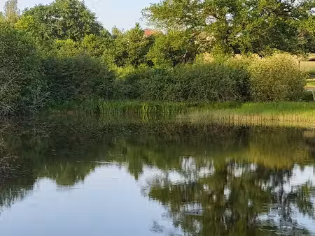 etang