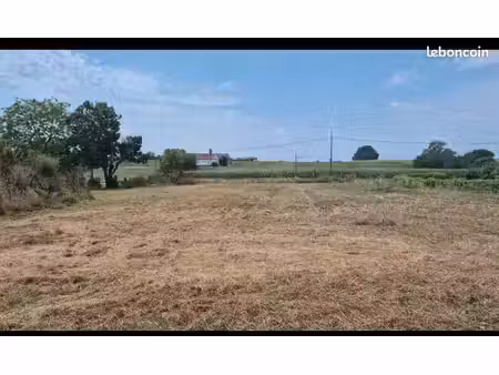 terrain constructible