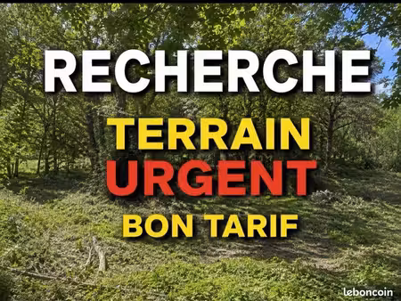recherche terrain urgent