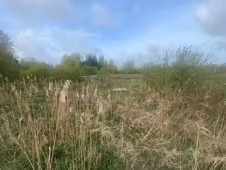 terrain 29404 m² guines