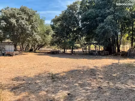 terrain pour animaux