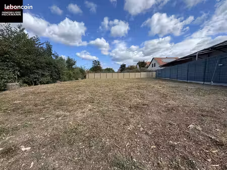 terrain still