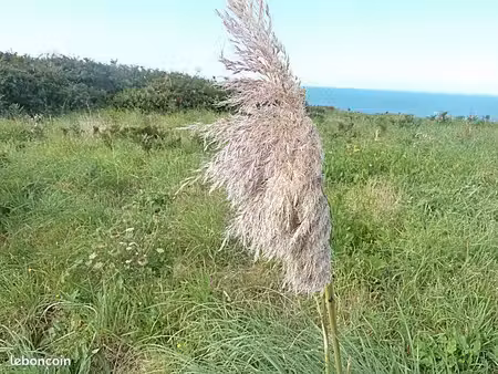 terrain agricole ou de loisirs