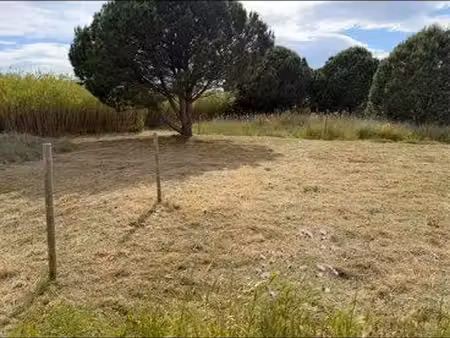 terrain agricole torreilles