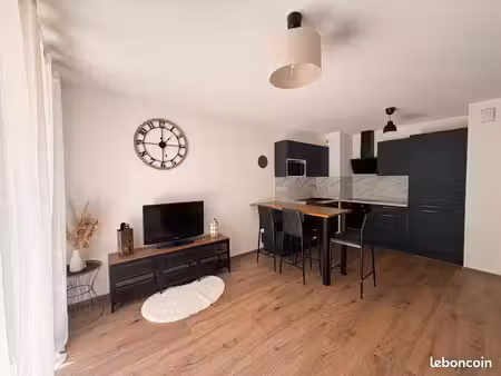 appartement 2 pièces avec terrasse et jardin - bischheim
