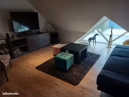 maison individuelle grand jardin