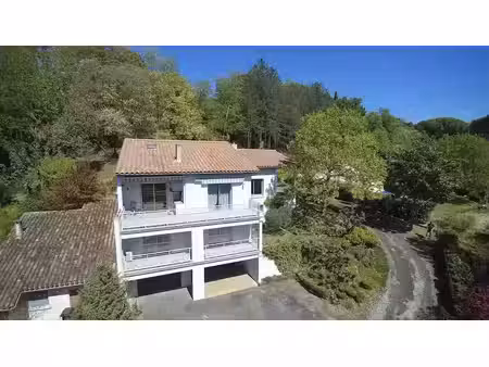 vente maison 306 m² à moissac (82200)  450 000 €