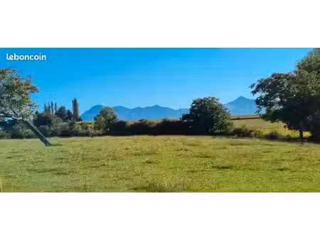 terrain avec cu