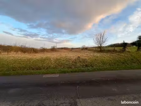 terrain 1000m2