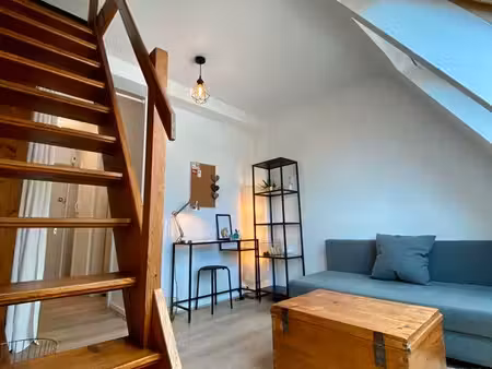 duplex meublé tout confort – quartier petite france  strasbourg