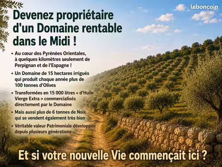 domaine 15ha = votre nouvelle vie dans le midi