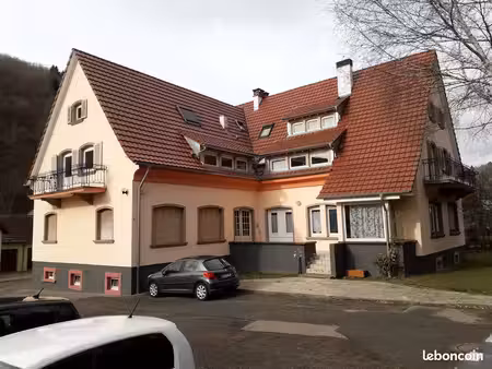 immeuble 516 m² lièpvre