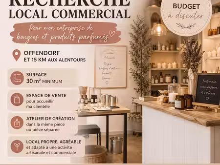 recherche local commercial