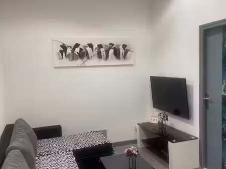 appartement duplex meublé 100m2