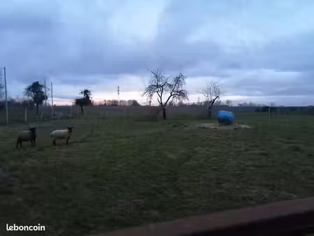 terrain 2400 m²