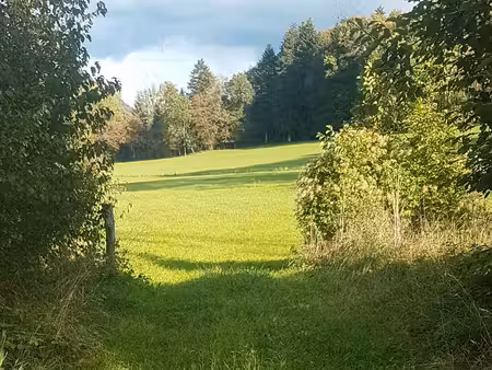 terrain agricole surface 4027m2
