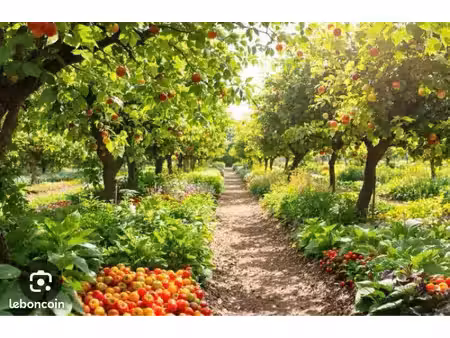 recherche terrain agricole