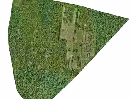 forêt à vendre 163 ha 55a 97ca seine et marne (77) île-de-france