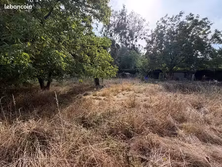 location terrain loisir : cheval  potager
