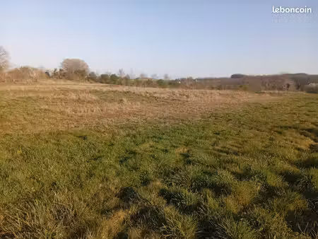 terrain agricole 5 hectares cadalen