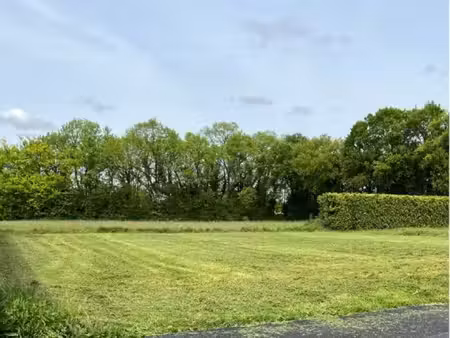 terrain 727 m2 constructible viabilisé
