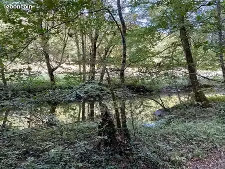 exceptionnel terrain de 11 hectares avec étang  rivière et terres agricoles