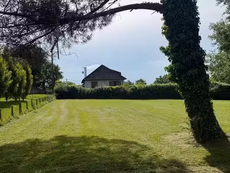 terrain constructible