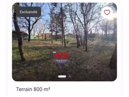 terrain arboré