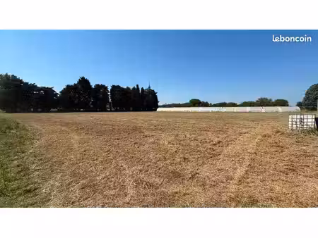 terrain