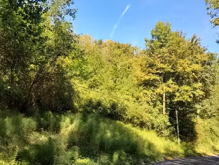 pour investisseur deux terrains de 1000m²