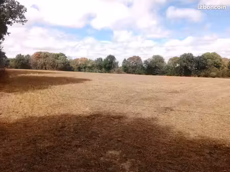 vente terrain agricole