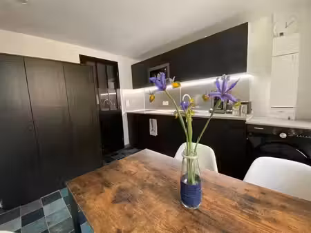 location meublée appartement 1 pièce 20 m² à strasbourg (67000)  790 €