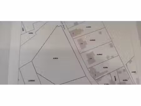 terrain