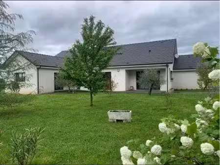 maison avec piscine meaulne 03360