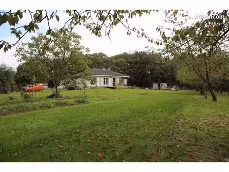 maison sur beau terrain