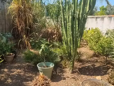 bas de maison t2 avec jardin