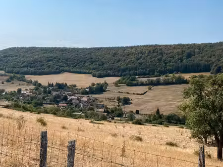 terrain