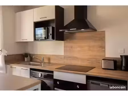 appartement hyper centre saint remy / location