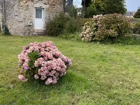 maisonnette avec jardinet