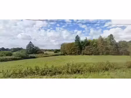 terrain à vendre