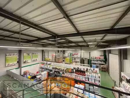 vente commerce boissise le roi 77310 430m²